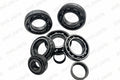 3950 Bearing Kit for BMW ATC300